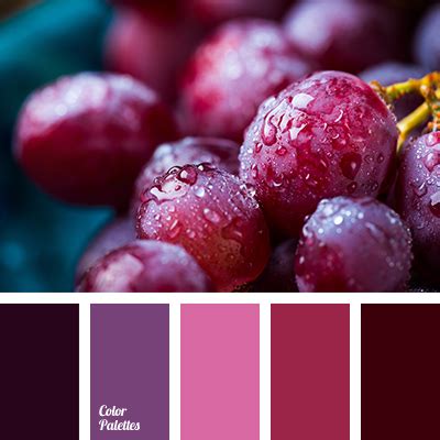 Image result for Raspberry Color Palette