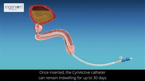 Image result for Ghost First Live Concert