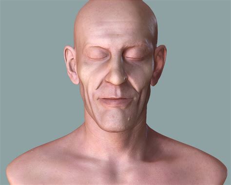 Image result for Human Torso 3D Skin Texture