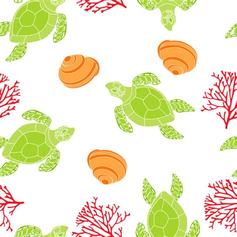 Image result for Turtle Shell Cartoon Texture