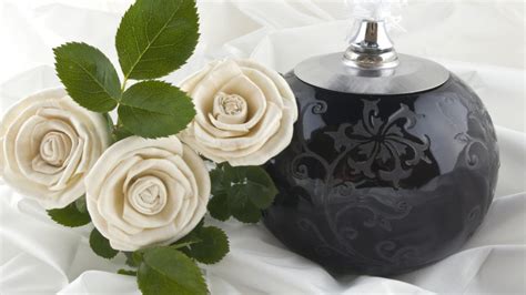 Image result for Famous Quotes About Humanity