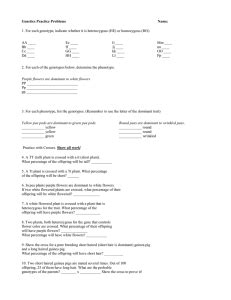 Image result for Simple Genetics Practice Problems Answer Key