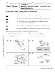 Toradh íomhá ar Evolution and Selection Answer Key