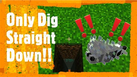 Toradh íomhá ar Digging Straight Down in Minecraft