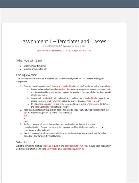 Image result for Programming Assignment Template