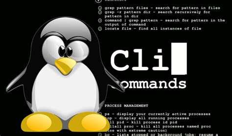 Toradh íomhá ar CLI Linux