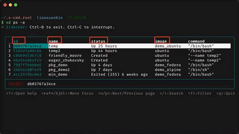 Toradh íomhá ar Docker Interactive Logo