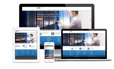 Sas.com に対する画像結果