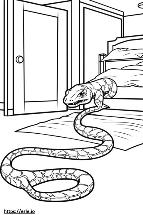 Image result for Python Colouring Inn