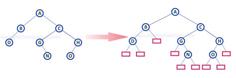 Toradh íomhá ar +Binary Tree Aplication Example