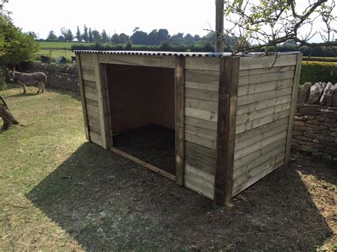 Toradh íomhá ar Donkey in Field