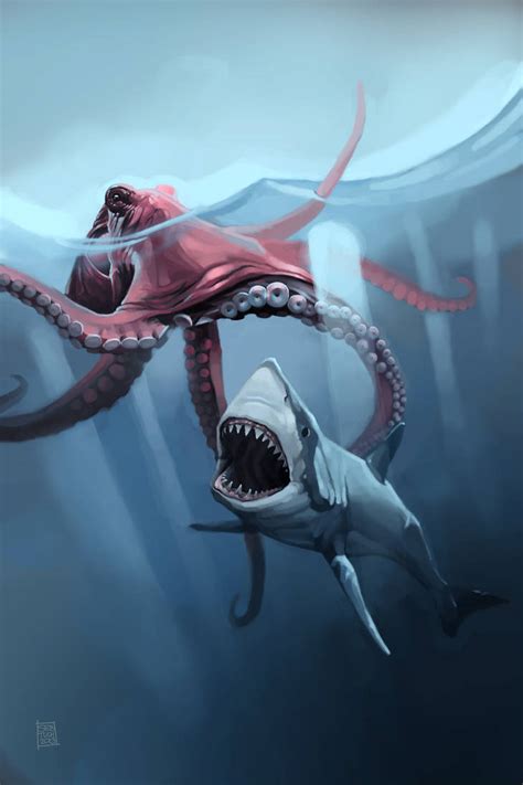 Shark vs Octopus に対する画像結果