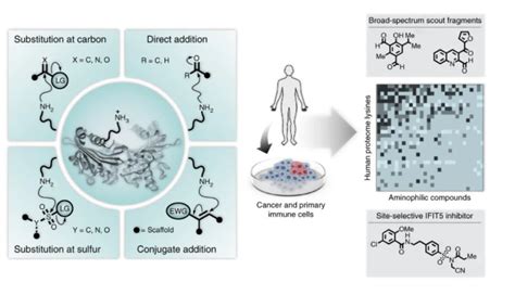 graphical-abstract-1-1 - Mind the Graph Blog