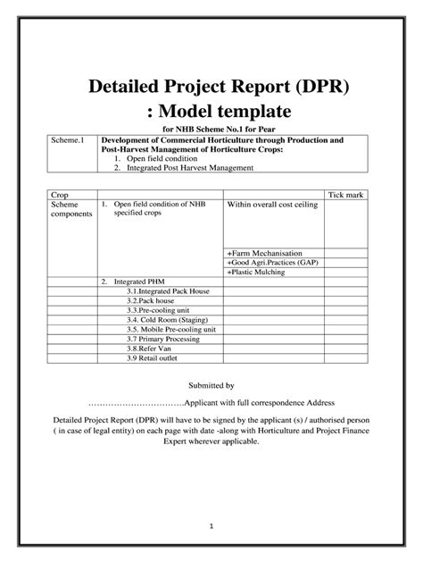 Image result for Detailed Project Report Format in Excel
