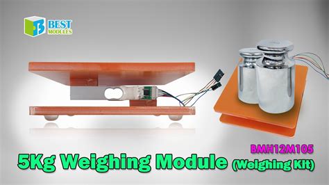 Image result for Weighing Module