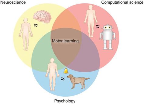 Afbeeldingsresultaten voor Motor Learning Internal Process