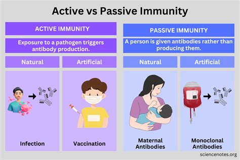 Immunity Biology に対する画像結果