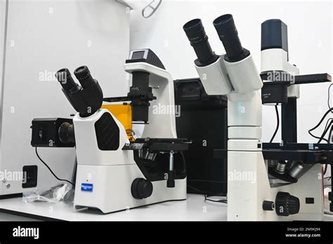 Toradh íomhá ar Microscope in Lab