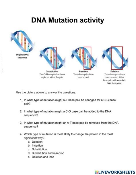 Image result for Mutation Activity Worksheet
