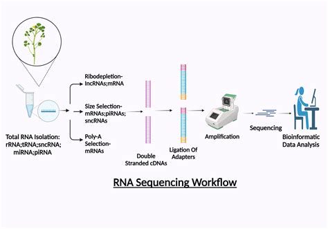 Image result for RNA-Seq Analysis Tutorial in Hindi