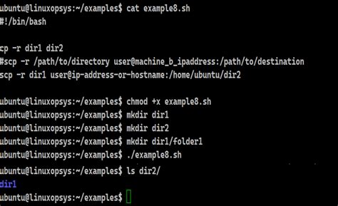 Image result for Bash File Example