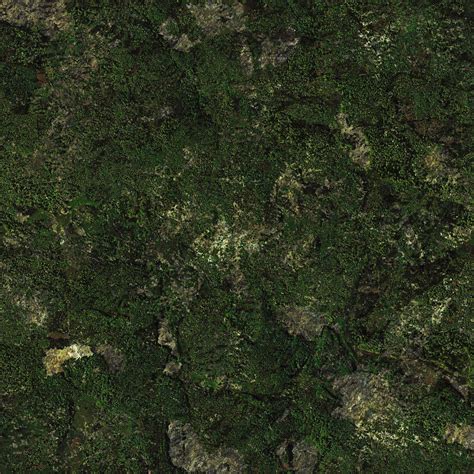 Image result for Forest Map Texture