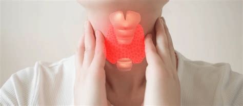 Thyroid Swelling Algorithm ಗಾಗಿ ಇಮೇಜ್ ಫಲಿತಾಂಶ