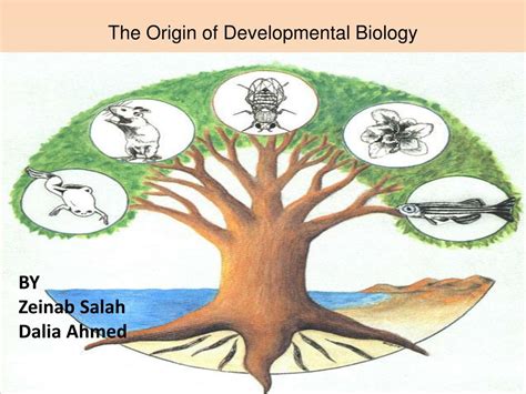 Define Biological Development に対する画像結果