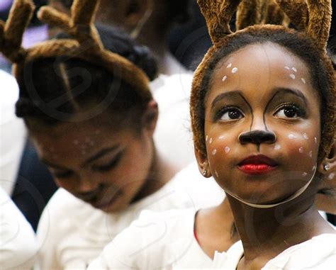 Image result for Fawn Face Paint