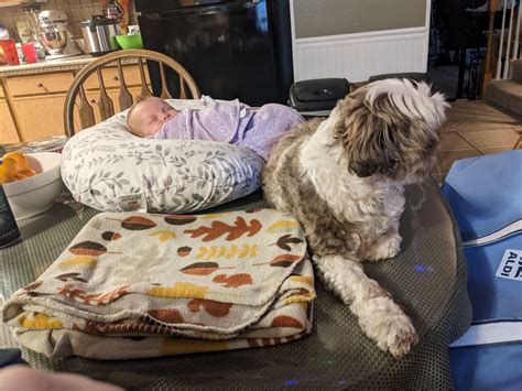Toradh íomhá ar Guarding the Castle Princess Bride
