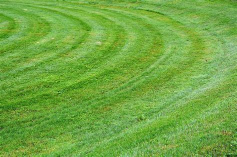 Lawn Mowing Patterns ಗಾಗಿ ಇಮೇಜ್ ಫಲಿತಾಂಶ