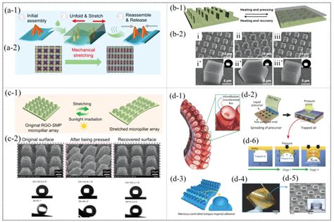 Nano Array-साठीचा प्रतिमा निकाल