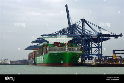 Image result for Unloading Shipping Containers