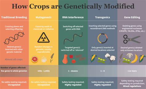 What Is GMO に対する画像結果