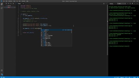 Toradh íomhá ar Malloc Calloc and Realloc