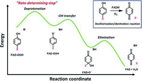 Image result for Oxidative Dehalogenation