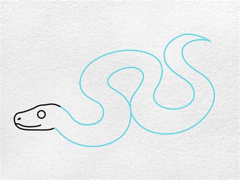 Image result for Python Tekenen