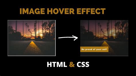 CSS Hover Image Effects に対する画像結果
