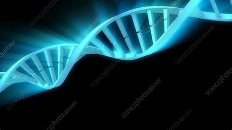 Image result for DNA Rotating