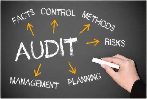 Image result for Audit Process Explained