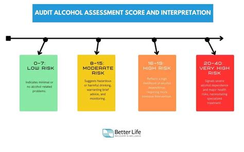 Image result for Audit Alcohol Screening Test PDF