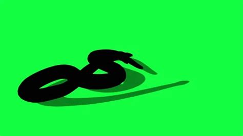 Image result for Python Snake Animated Image