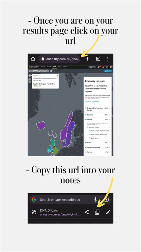 Image result for AncestryDNA Instructions