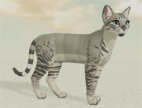 Image result for Cool Skins in Warrior Cats Roblox