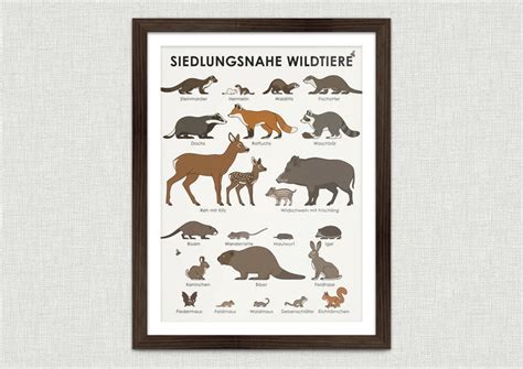 Toradh íomhá ar Length Chart Europe