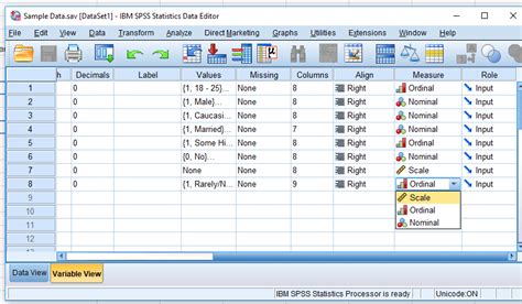 Image result for SPSS Data. View