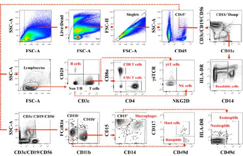 Toradh íomhá ar flow cytometry gating examples