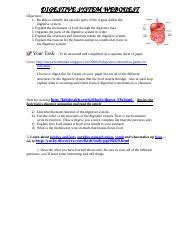 Image result for Digestive System WebQuest Answer Key