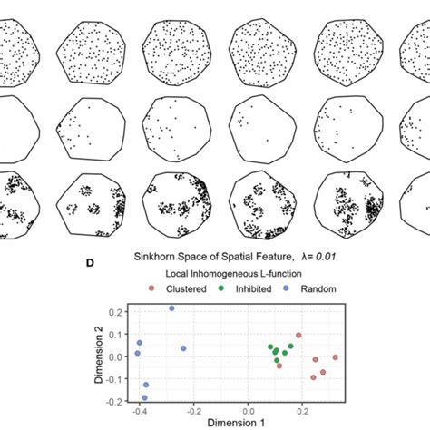 Image result for What Is a Peripheral Spatial Pattern