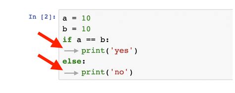 Image result for Python If Statement True False